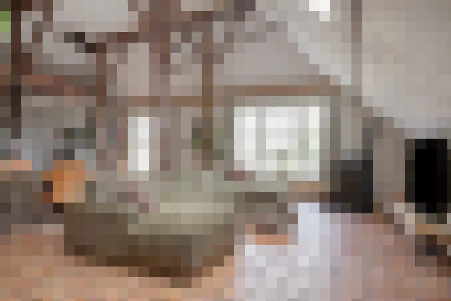 Fanerweg 2 Niekerk thumbnail 23