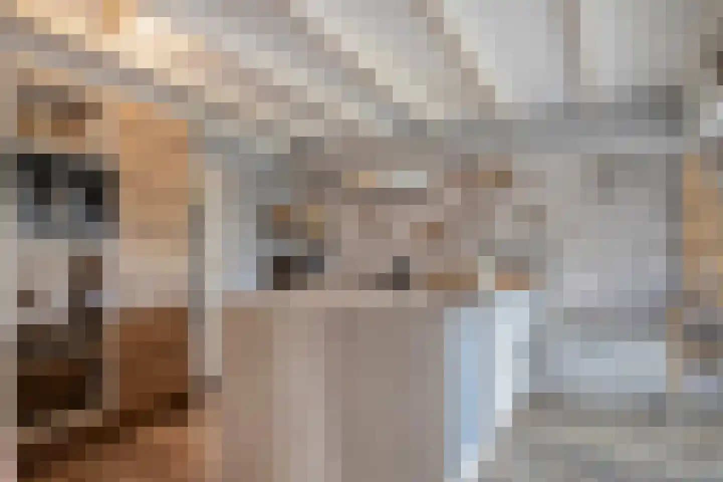 Fanerweg 2 Niekerk thumbnail 4