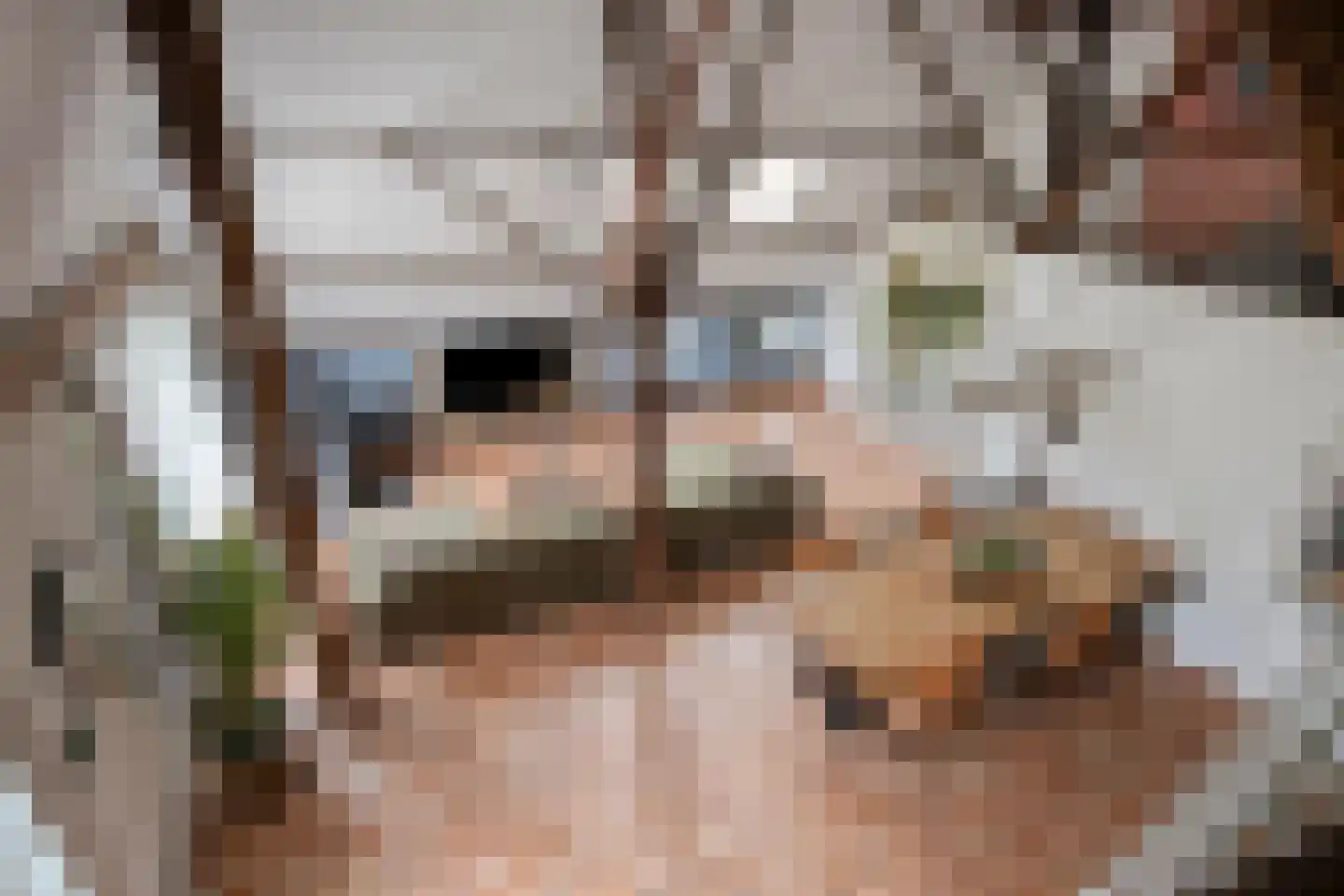 Fanerweg 2 Niekerk thumbnail 41