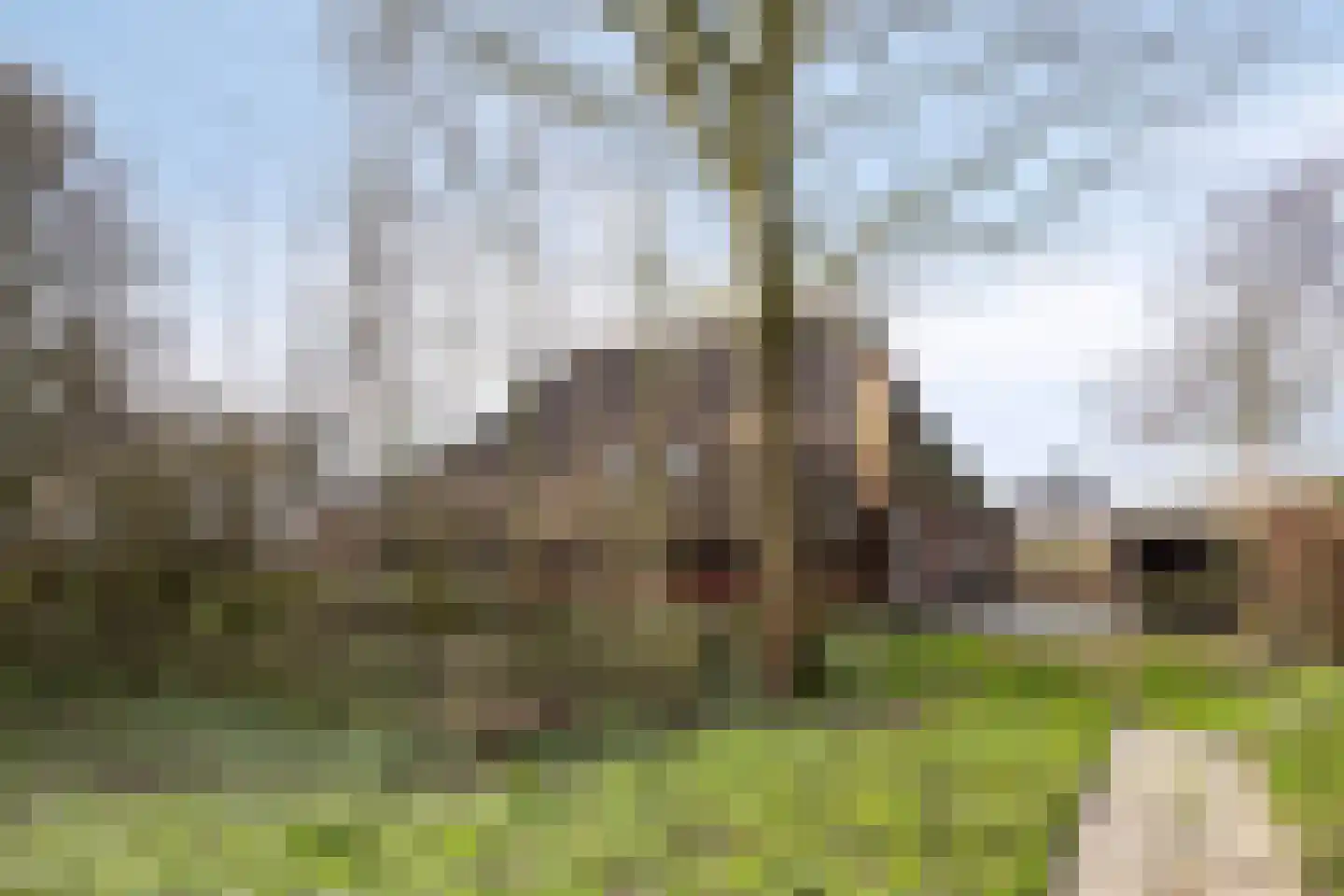 Fanerweg 2 Niekerk thumbnail 47