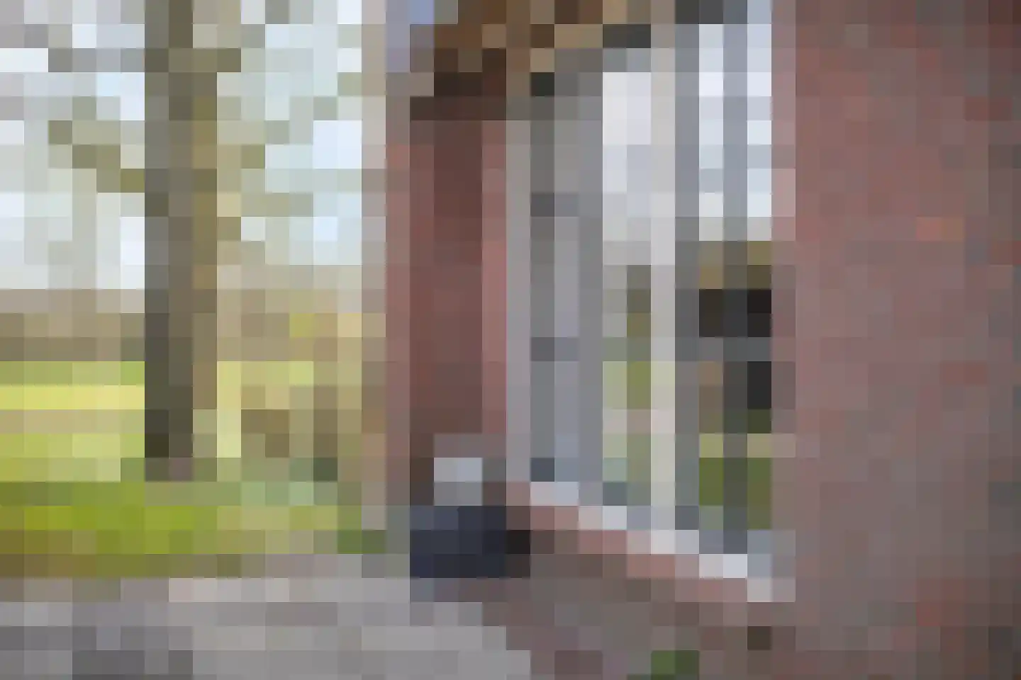 Fanerweg 2 Niekerk thumbnail 48