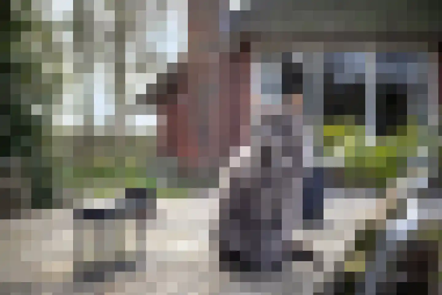Fanerweg 2 Niekerk thumbnail 49