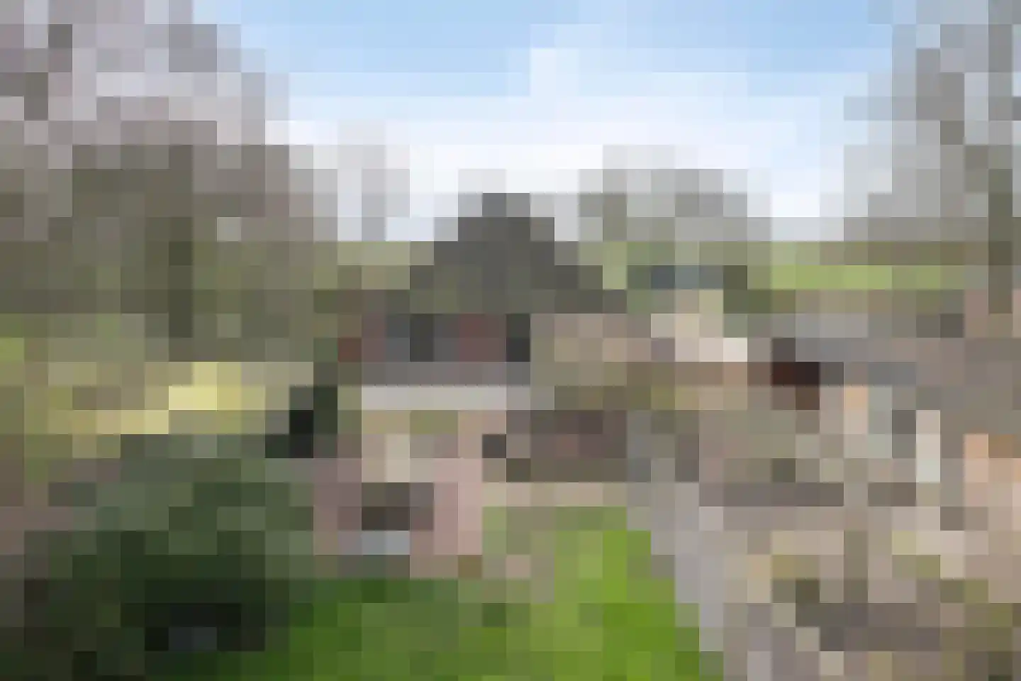 Fanerweg 2 Niekerk thumbnail 5