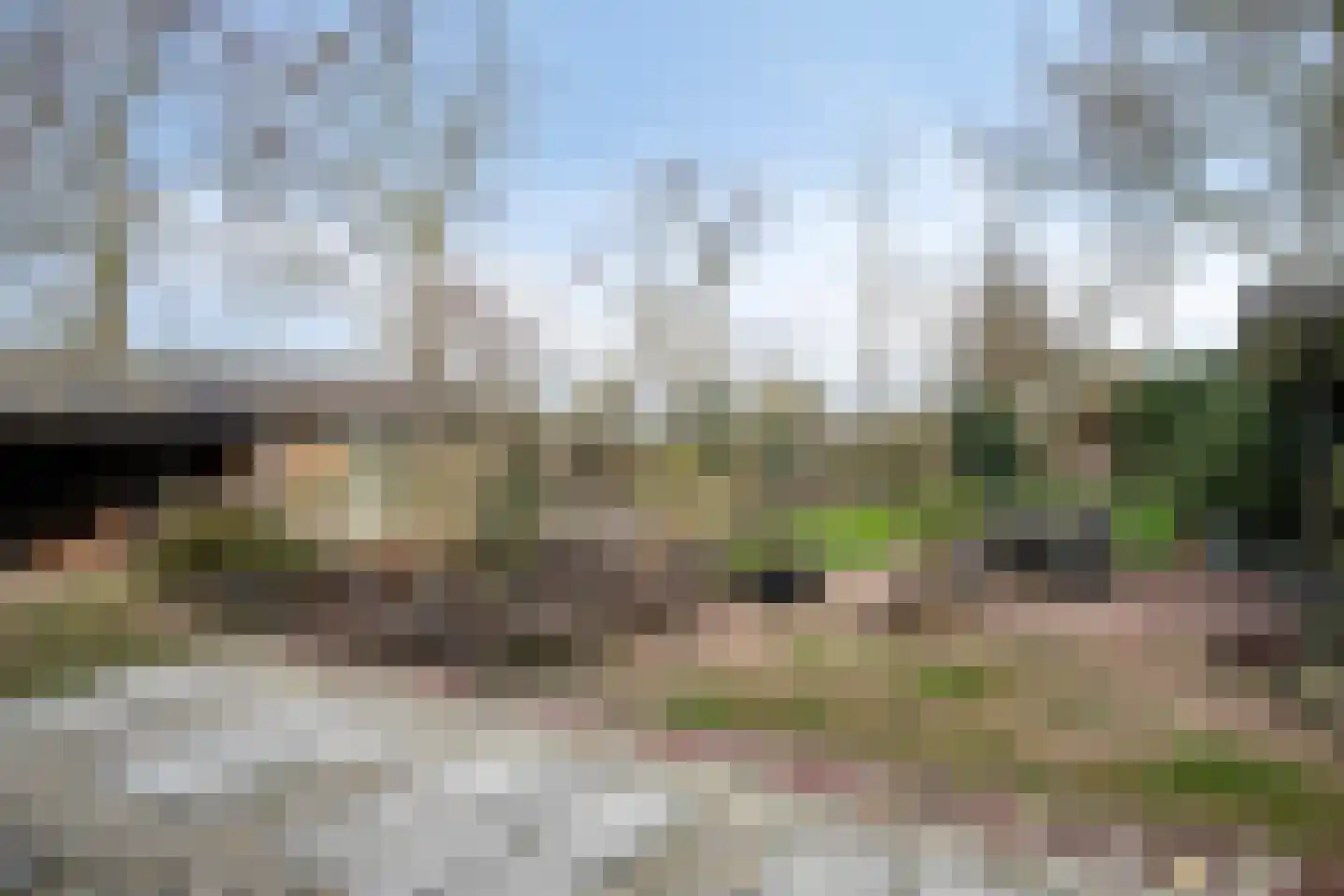 Fanerweg 2 Niekerk thumbnail 50