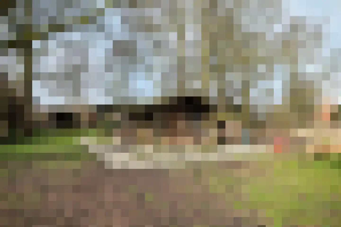 Fanerweg 2 Niekerk thumbnail 51