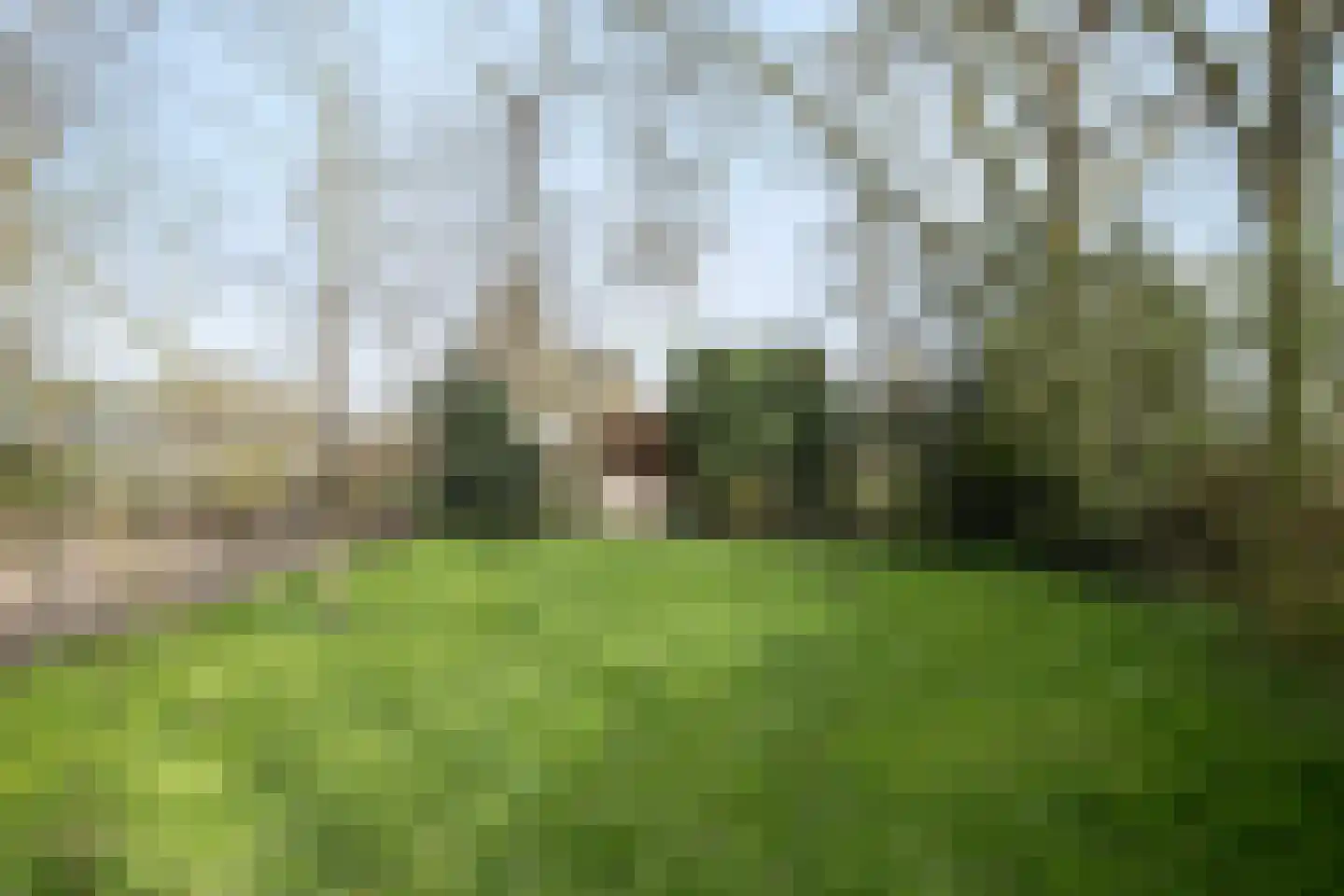Fanerweg 2 Niekerk thumbnail 53