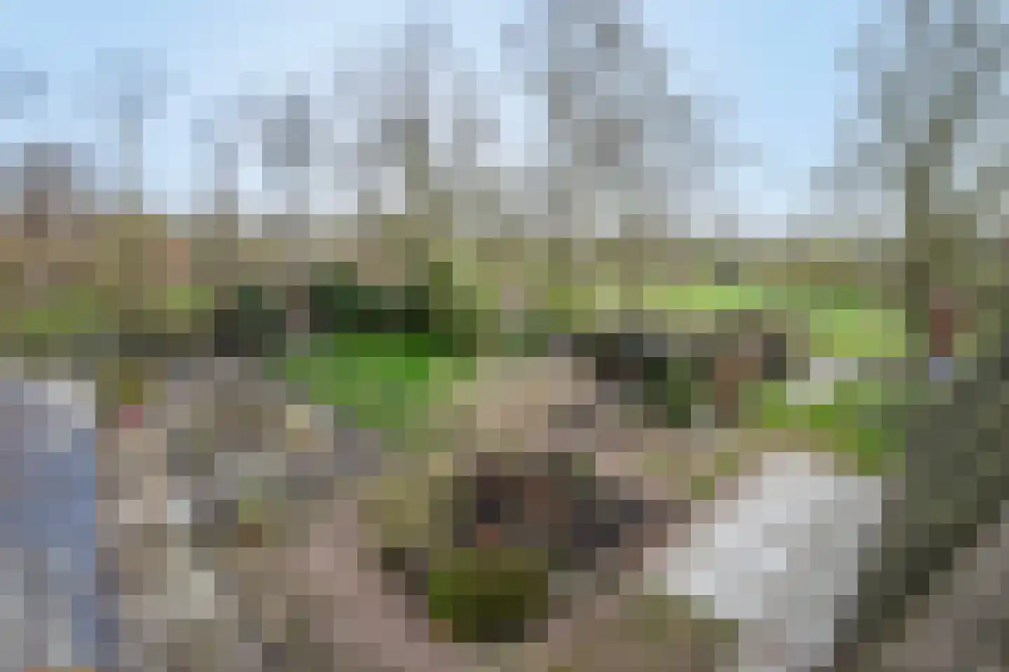 Fanerweg 2 Niekerk thumbnail 54