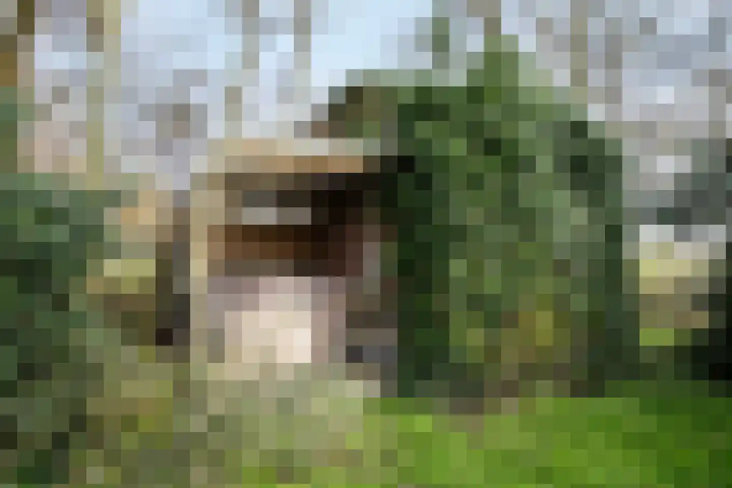Fanerweg 2 Niekerk thumbnail 57