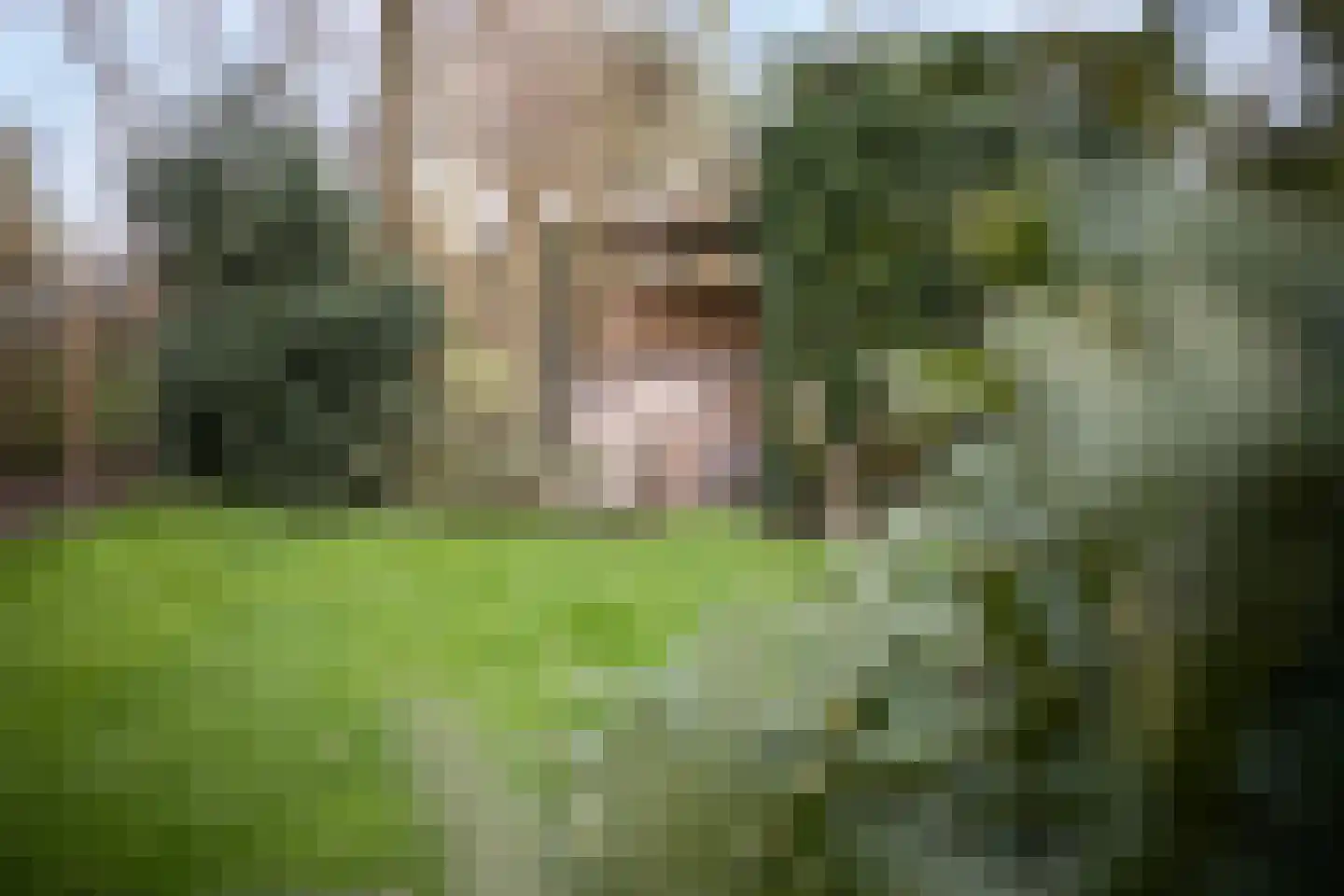 Fanerweg 2 Niekerk thumbnail 58