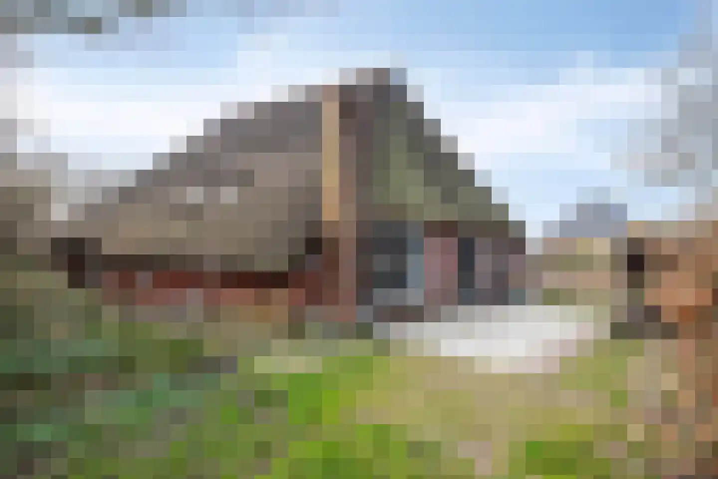 Fanerweg 2 Niekerk thumbnail 6