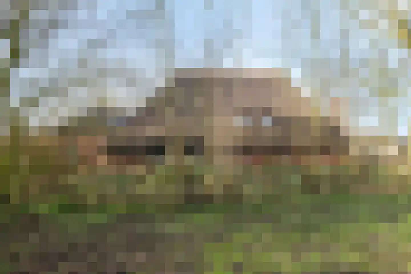 Fanerweg 2 Niekerk thumbnail 60