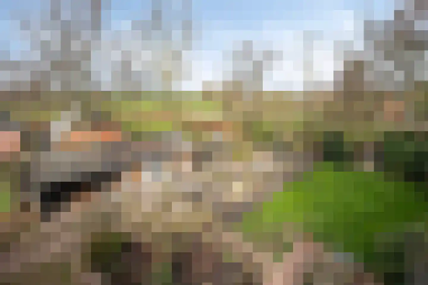 Fanerweg 2 Niekerk thumbnail 63