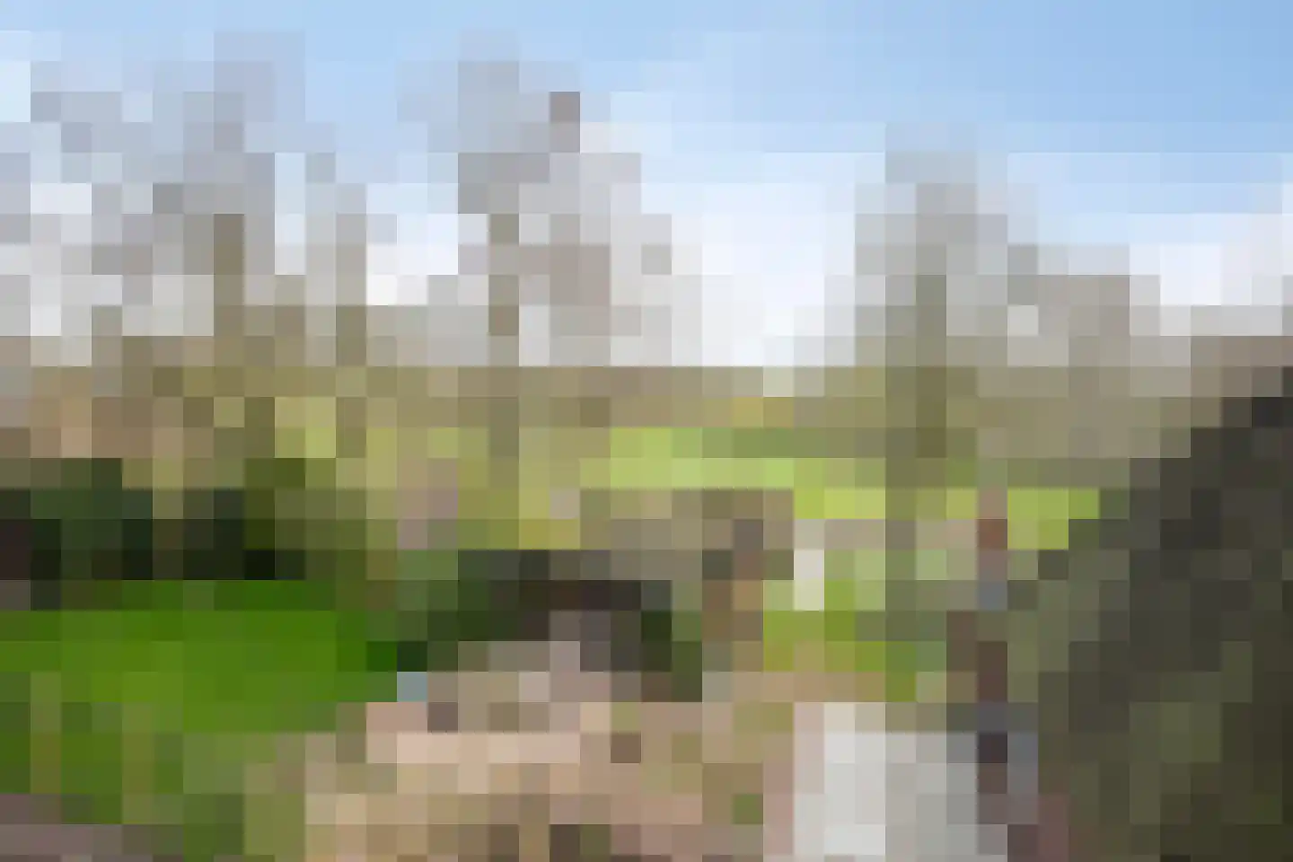 Fanerweg 2 Niekerk thumbnail 64