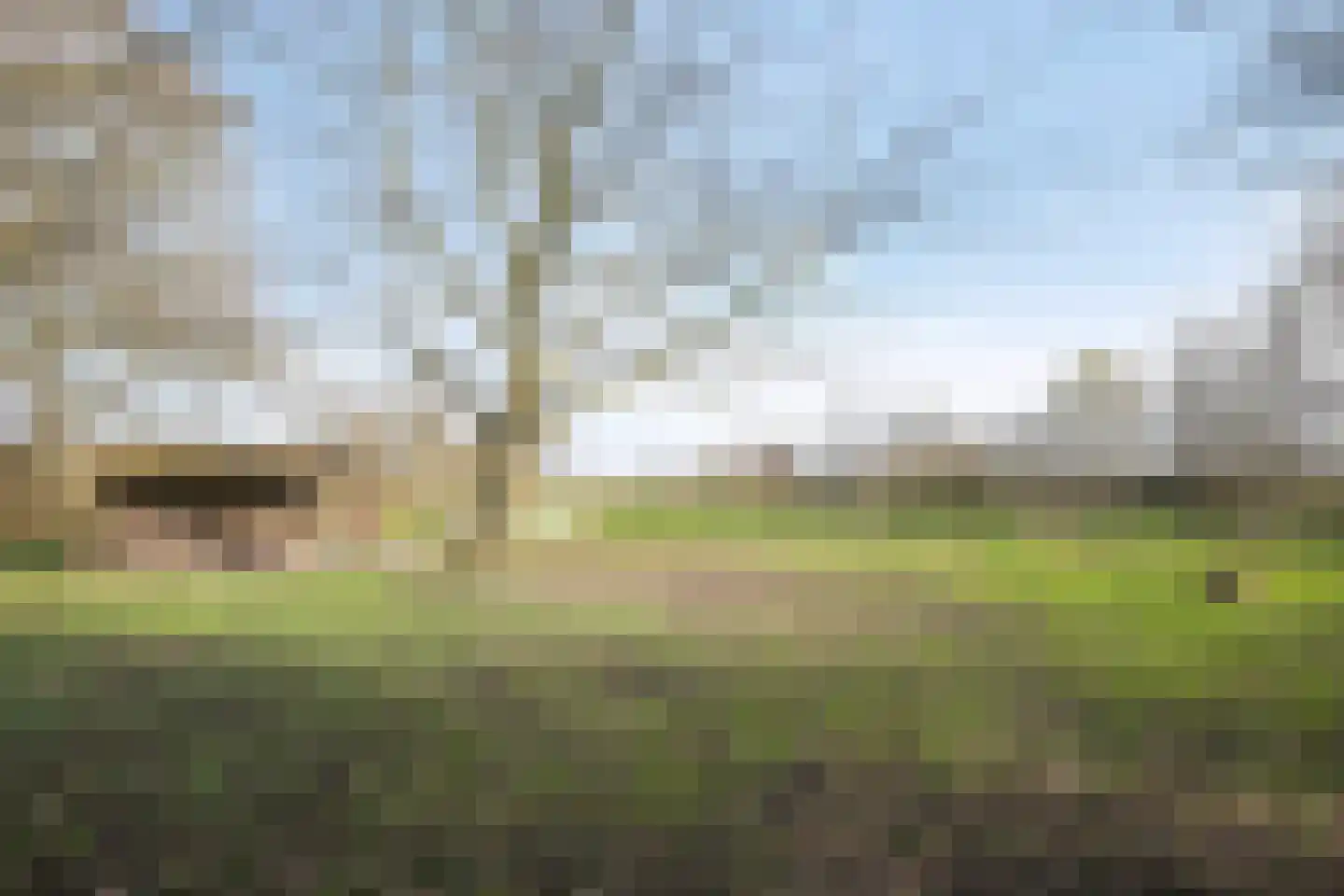 Fanerweg 2 Niekerk thumbnail 68