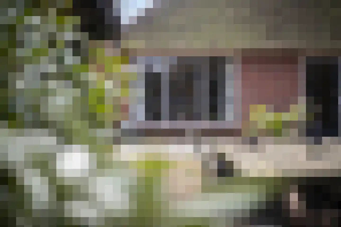 Fanerweg 2 Niekerk thumbnail 7