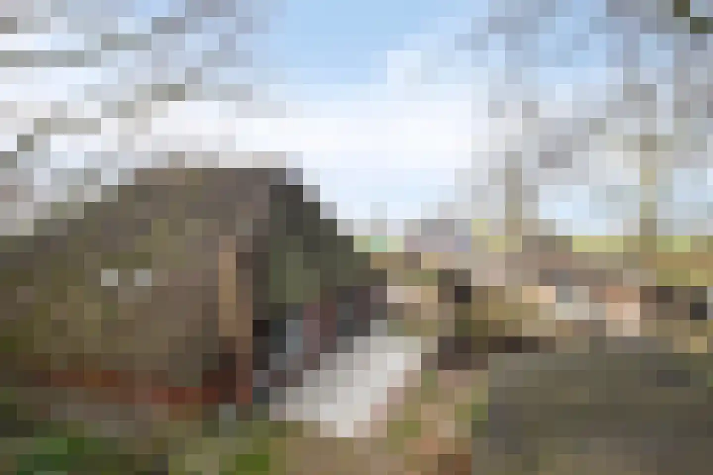 Fanerweg 2 Niekerk thumbnail 73