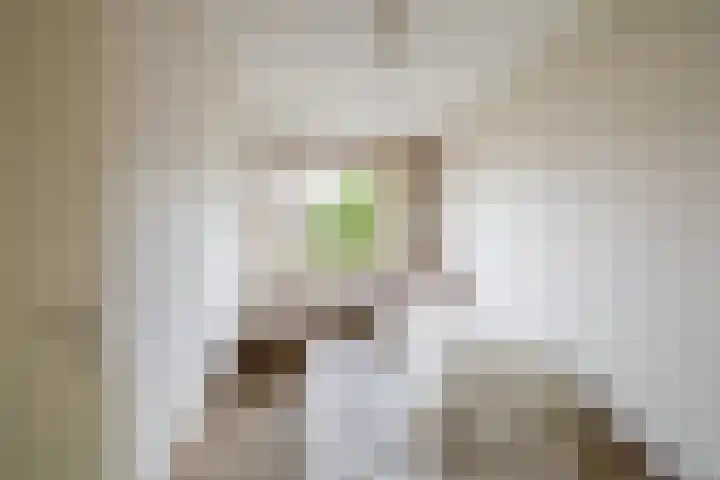 Fanfarehof 22 Zaandam thumbnail 18