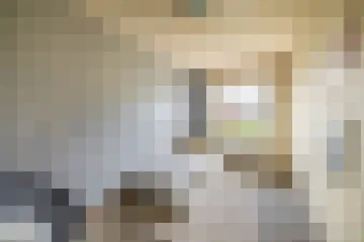 Fanfarehof 22 Zaandam thumbnail 19