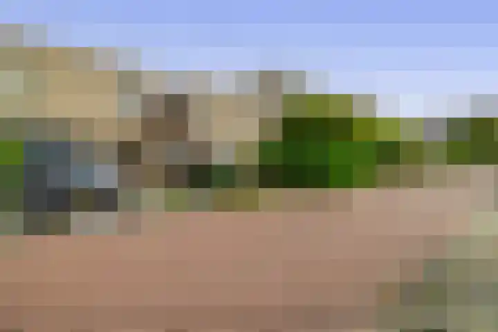 Fanfarehof 22 Zaandam thumbnail 25