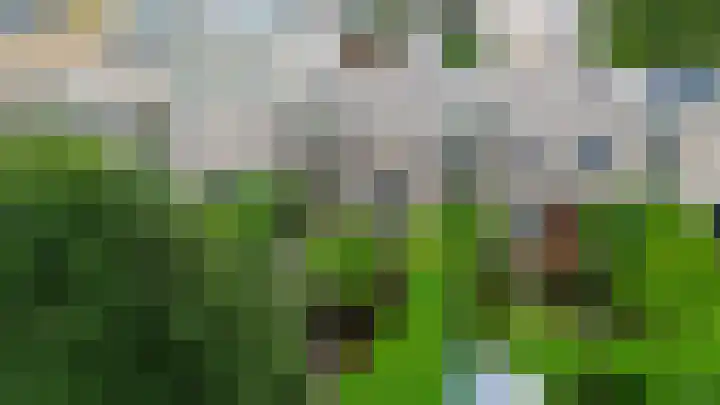 Fanfarehof 22 Zaandam thumbnail 27