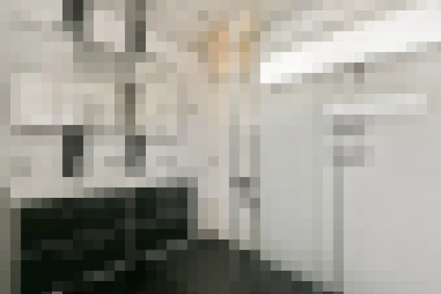 Fanfarehof 27 Zaandam thumbnail 30