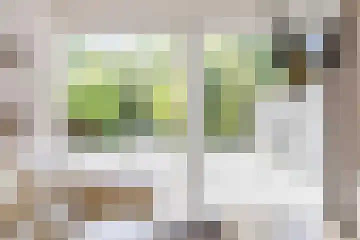 Fanfarehof 43 Zaandam thumbnail 5
