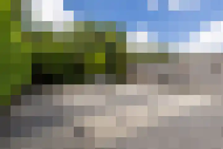Fanfarehof 43 Zaandam thumbnail 6