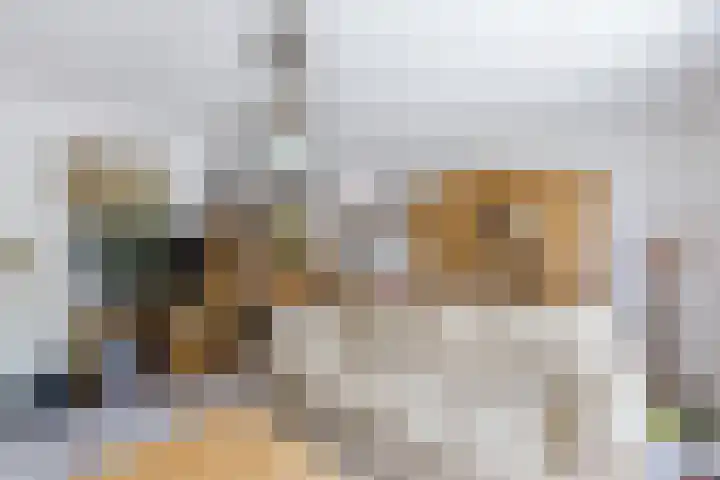 Fanfarehof 43 Zaandam thumbnail 7