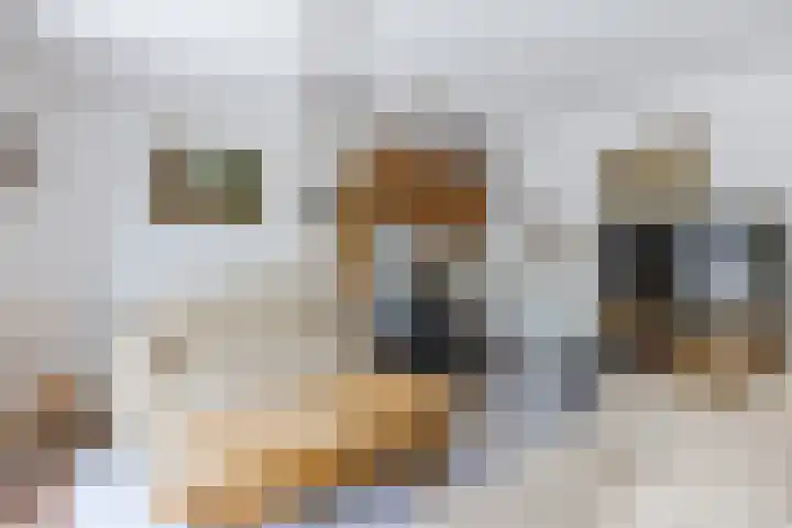 Fanfarehof 43 Zaandam thumbnail 8