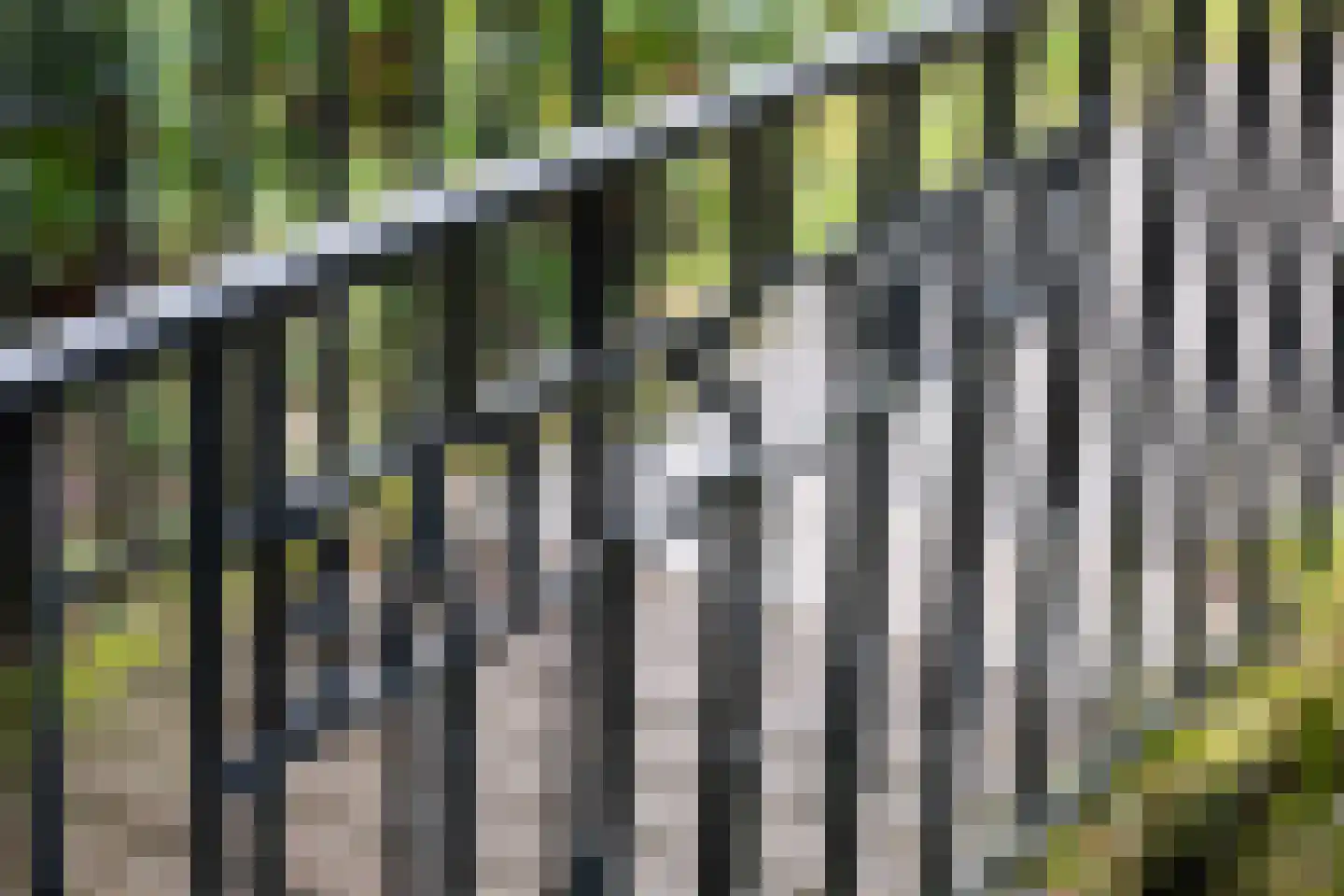 Fangmanweg 36 Oosterbeek thumbnail 42