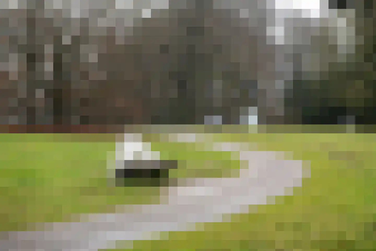 Fangmanweg 36 Oosterbeek thumbnail 43