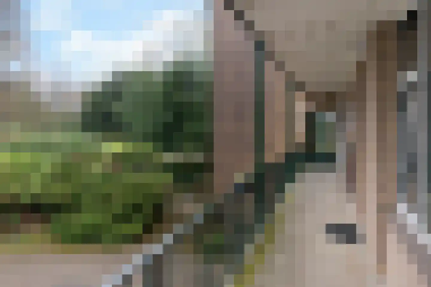 Fangmanweg 36 Oosterbeek thumbnail 5