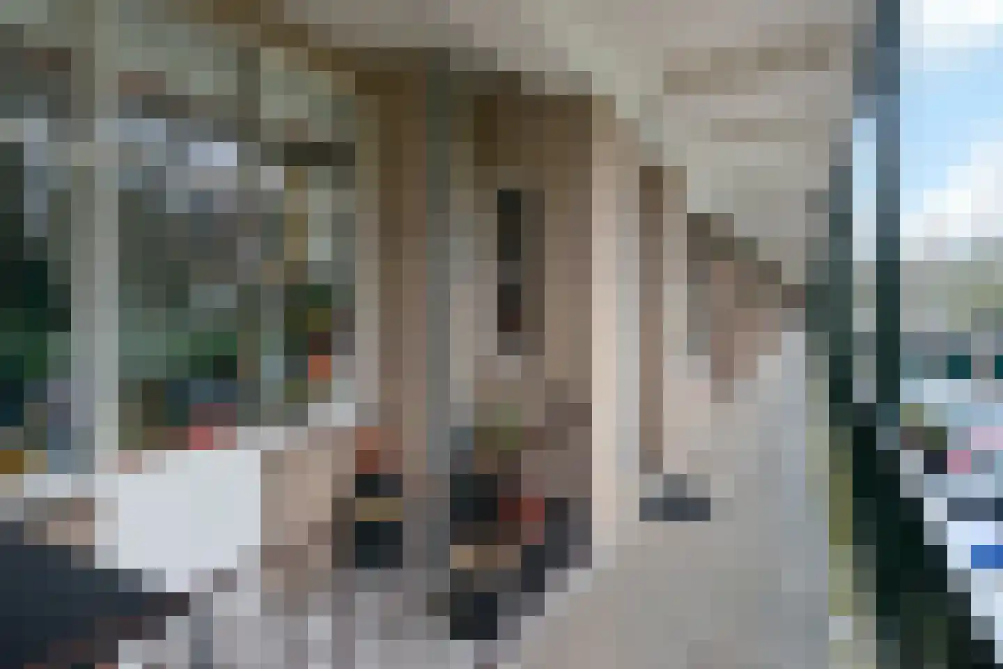 Fangmanweg 36 Oosterbeek thumbnail 6