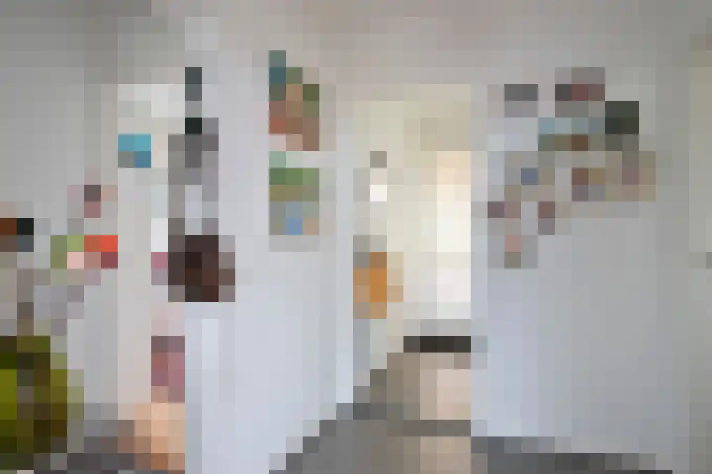 Fangmanweg 36 Oosterbeek thumbnail 8