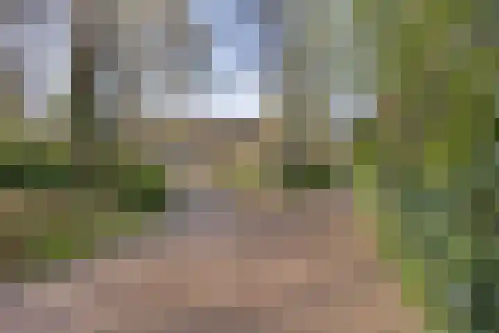 Fangmanweg 56 Oosterbeek thumbnail 4