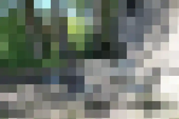 Fangmanweg 56 Oosterbeek thumbnail 7