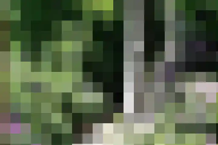Fangmanweg 56 Oosterbeek thumbnail 8