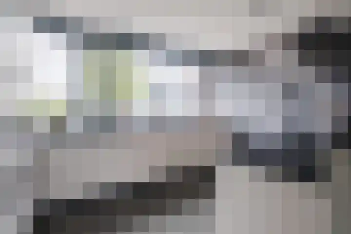 Fangorn 14 Geldrop thumbnail 12