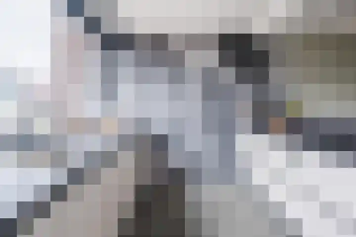 Fangorn 14 Geldrop thumbnail 13