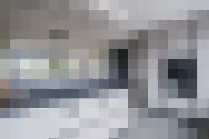 Fangorn 14 Geldrop thumbnail 14