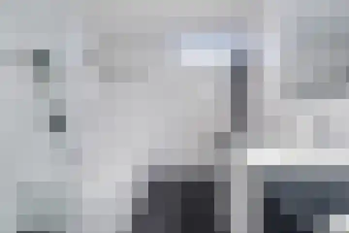Fangorn 14 Geldrop thumbnail 30