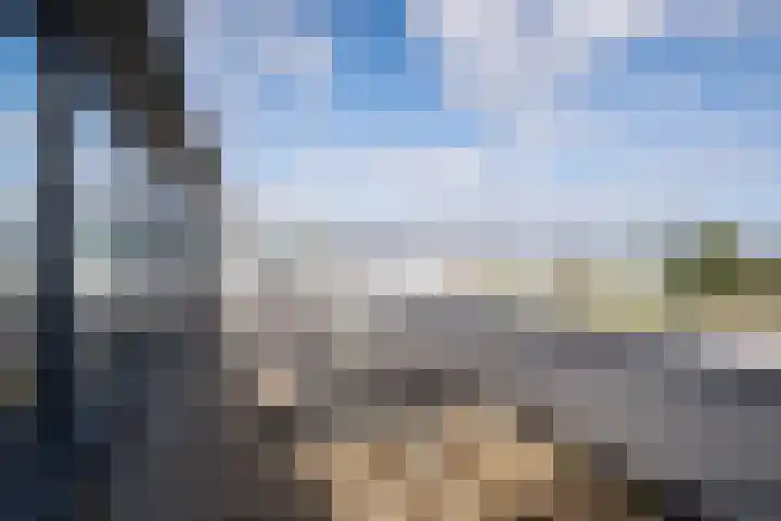 Fangorn 14 Geldrop thumbnail 37