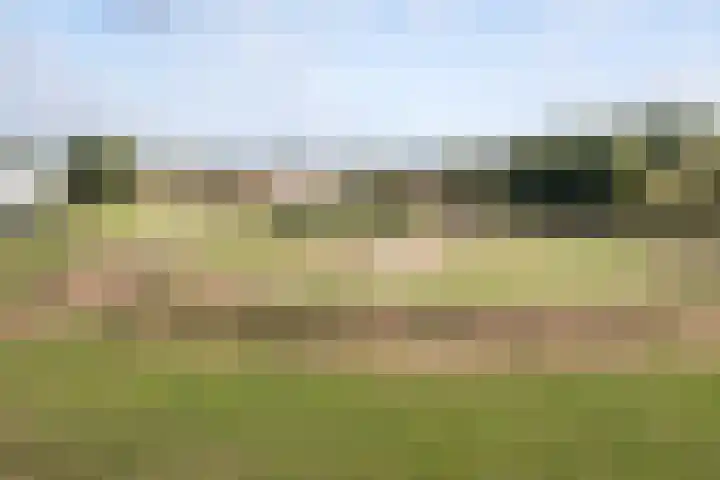 Fangorn 14 Geldrop thumbnail 39