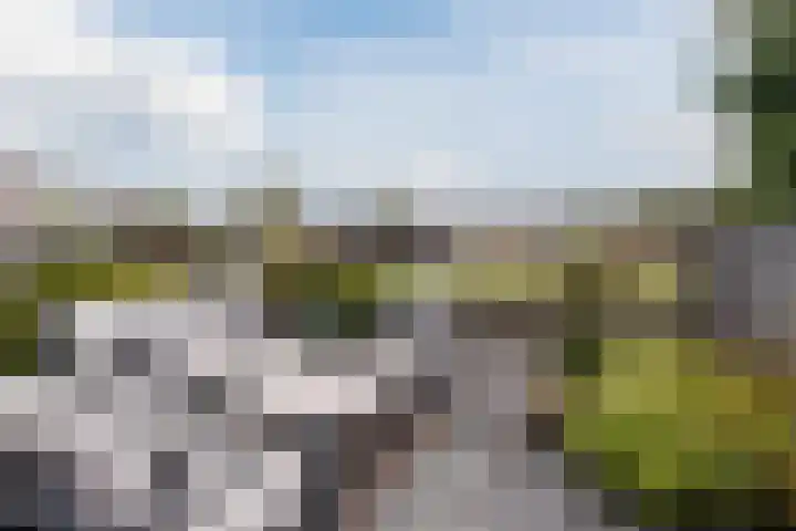 Fangorn 14 Geldrop thumbnail 40