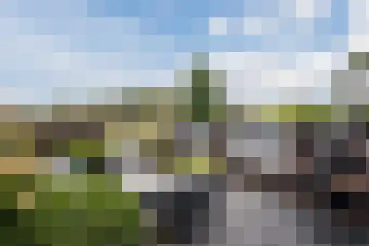 Fangorn 14 Geldrop thumbnail 41