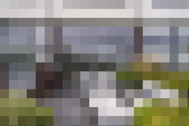 Fangorn 14 Geldrop thumbnail 43
