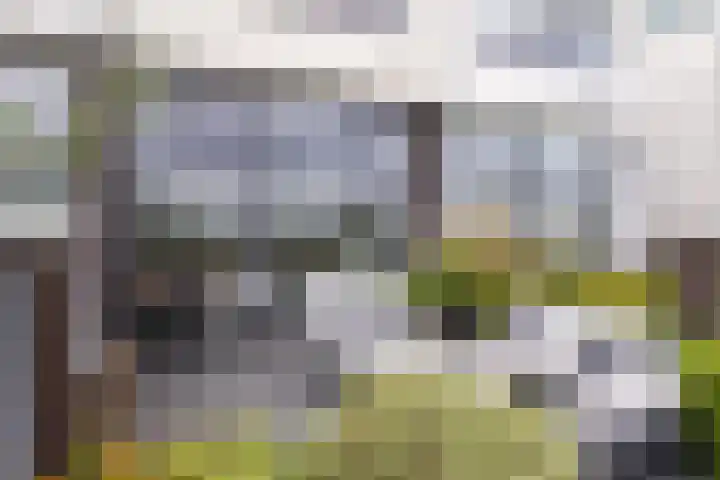 Fangorn 14 Geldrop thumbnail 44