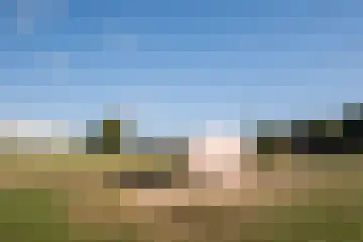 Fangorn 14 Geldrop thumbnail 47