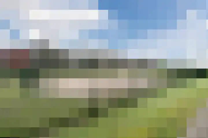 Fangorn 16 Geldrop thumbnail 59