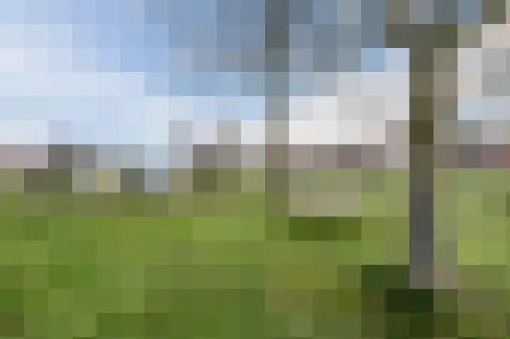 Fangorn 16 Geldrop thumbnail 61